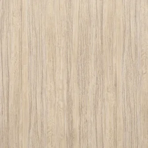 南非木