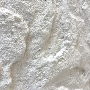 立體雕塑石皮｜象牙凝灰