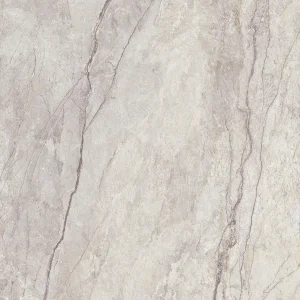 SILVER ROOT LIGHT