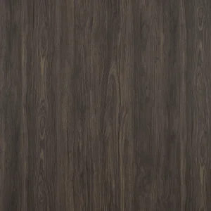 美國堅果木