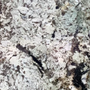 綠光森林