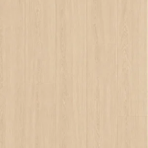 杏橡暖陽