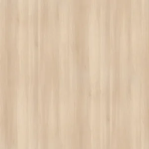 淺色萊克蘭刺槐
