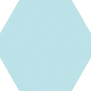 湖訫