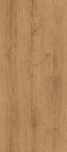 古橡木波音軟片
