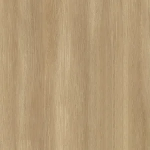 唐茶染橡