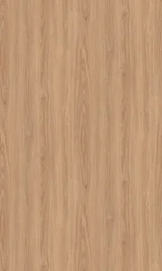 淡赭棕波音軟片
