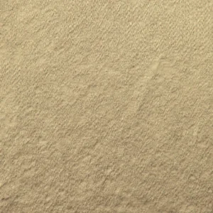 Giacomo
