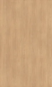 鹿皮棕波音軟片
