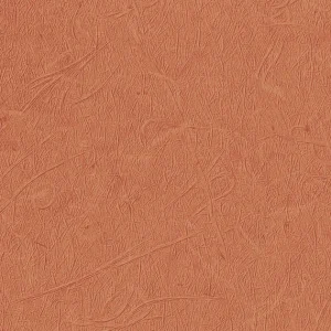 CLEAN LUMINOUS V