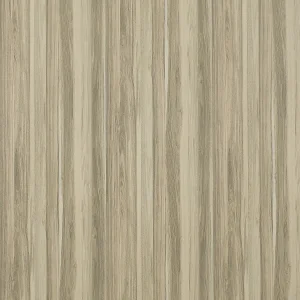 南美白胡桃