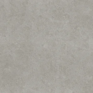 沙龍灰