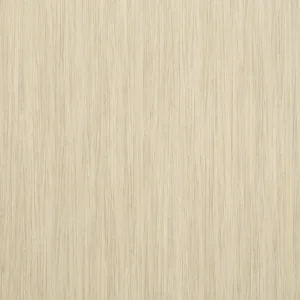白色樺木