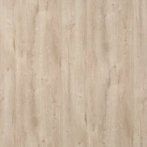 庫內奧原橡