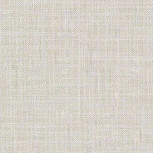 CLEAN LUMINOUS V
