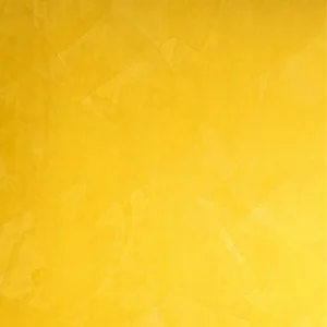 Stucco Veneziano 威尼斯灰尼