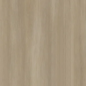 鐵觀音橡