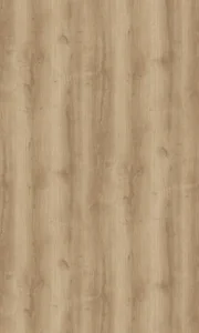 凋葉棕波音軟片