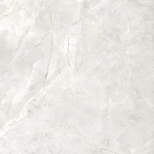 晨光白