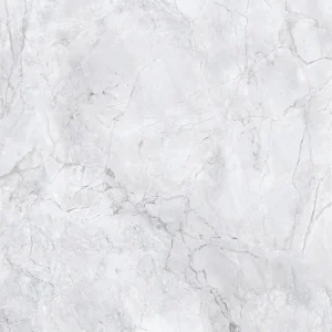 杜拜銀灰