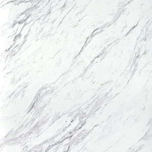 雪白銀狐