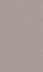 絲紋白金波音軟片