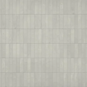 蠟質灰