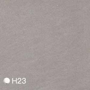 Homii