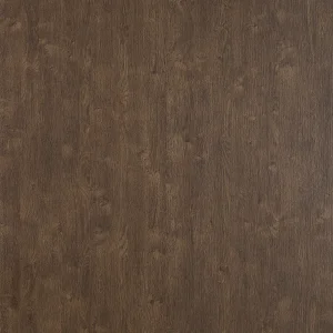 塔科尼橡木(山)