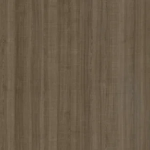 鋸紋黑橡