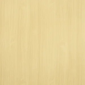 白山毛櫸(直)