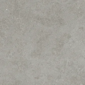 沙龍灰