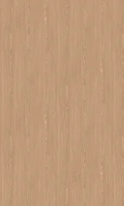 梣木波音軟片