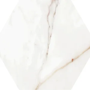 君主金