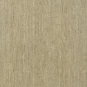 城邦栗木
