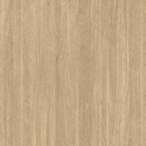 阿尼瑪棕櫚
