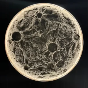 立體雕塑石皮｜隕痕月岩