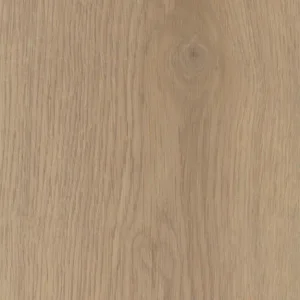 Nordic 北歐