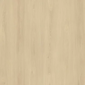 北極橡木