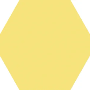 蒲公英
