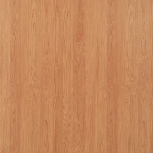 紅山毛櫸(山)