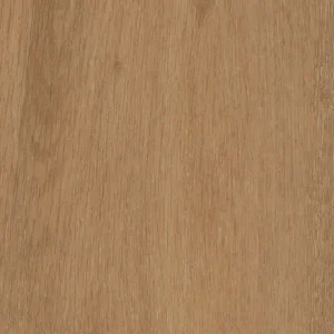 Nordic 北歐