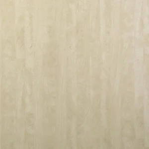 北美楓木(山)