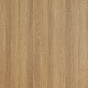 沙灘橡木(山)
