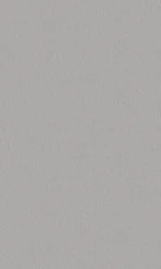 閃灰波音軟片