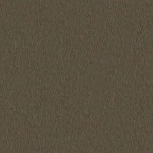 銅波音軟片