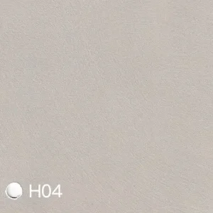 Homii