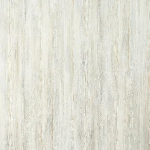 摩洛哥雪松