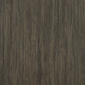 南非古橡