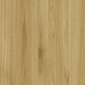 克森山胡桃